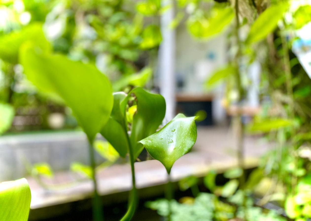 The Hide Hostel At Canggu (Adults Only) Ngoại thất bức ảnh
